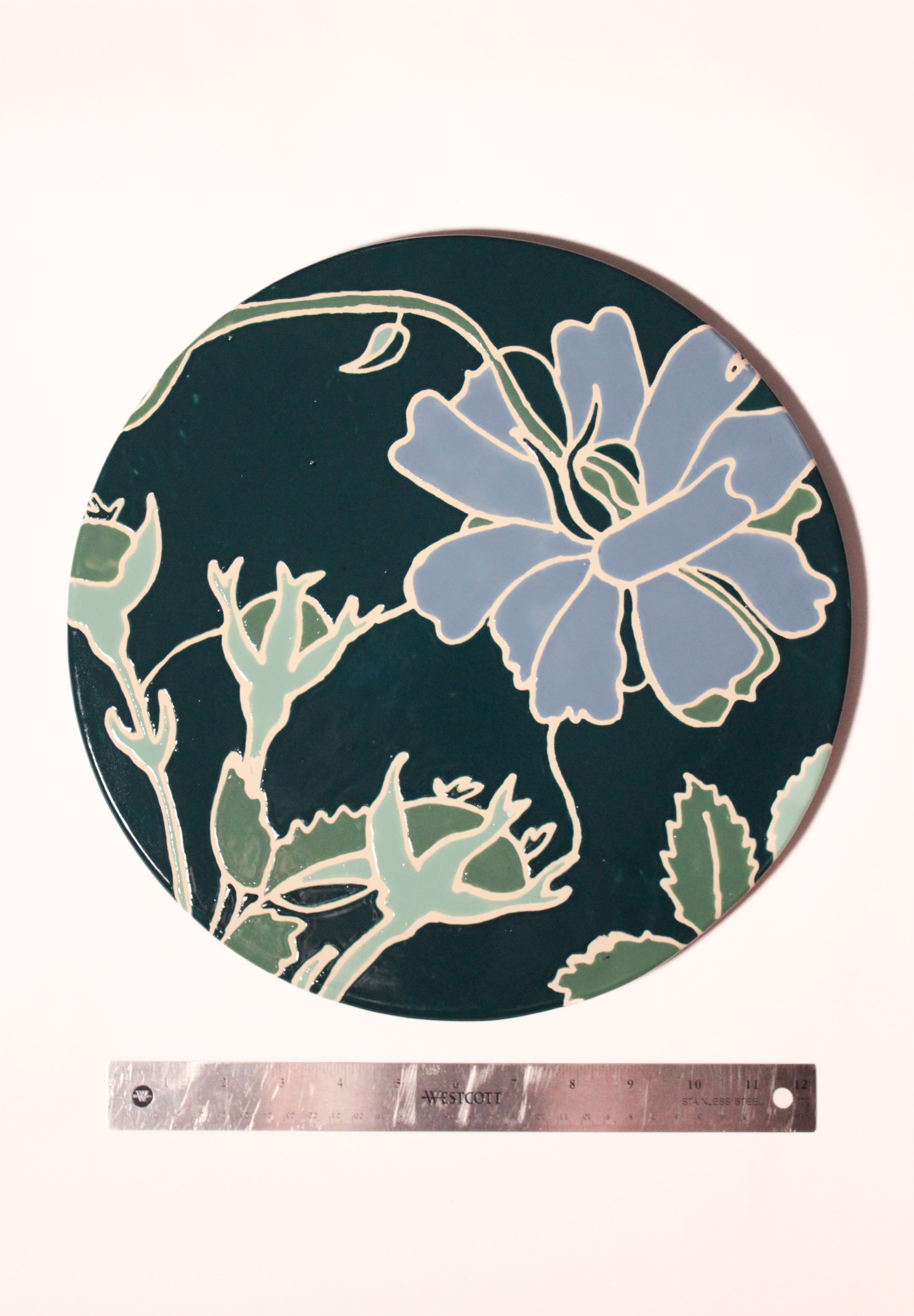 Blue Semperflorens